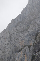 Picos de Europa (Asturias)
