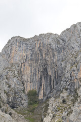 Picos de Europa (Asturias)