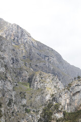 Picos de Europa (Asturias)