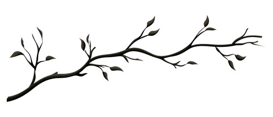 Obraz premium PNG A branch silhouette plant line.