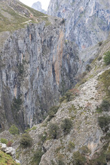 Picos de Europa (Asturias)