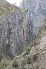 Picos de Europa (Asturias)