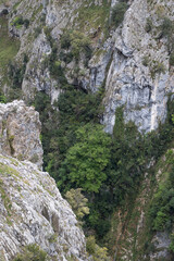 Picos de Europa (Asturias)