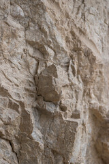 Picos de Europa (Asturias)