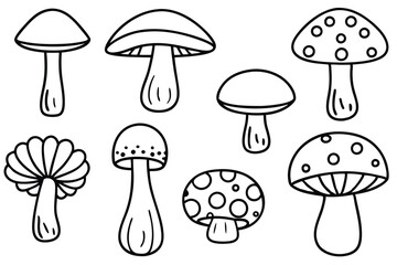 Mushroom Line Art Elegant Illustrations Perfect for Botanical Prints