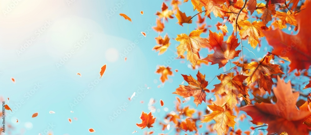 Canvas Prints Nature s backdrop shows colorful autumn leaves set against a clear blue sky offering ample copy space for additional details in the image