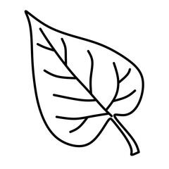 silhouette of a leaf in transparent png 