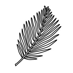 Fototapeta premium Drawing of palm in transparent png