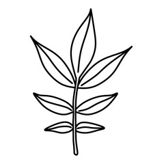 silhouette of a leaf, Drawing of leaves in transparent png