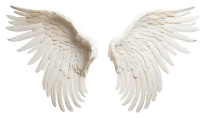 PNG Flying angel bird transparent background