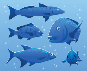 Obraz premium Vector illustration of river fish. Perch, bream, crucian carp vector