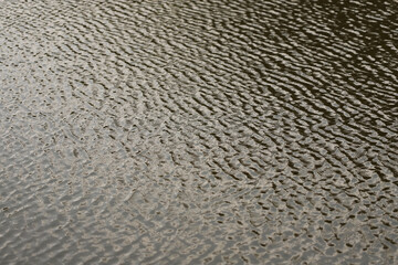 Ripples in the lake water