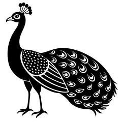 Peacock vector silhouette