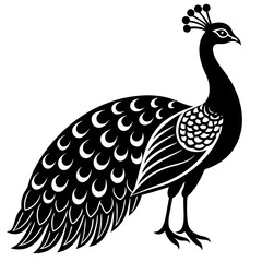 Peacock vector silhouette