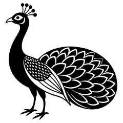 Peacock vector silhouette