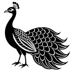 Peacock vector silhouette