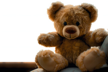Fototapeta premium brown teddy bear
