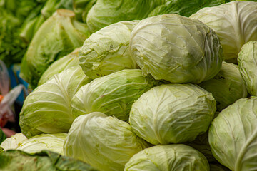 Group of green cabbages at market in Thailand.