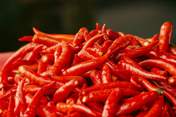 spicy hot red and green pepper