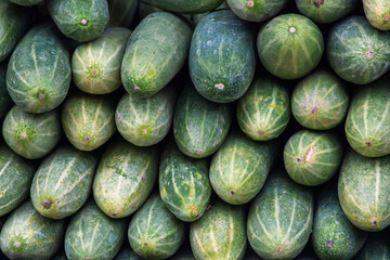 Close up stack of fresh and raw cucumber
