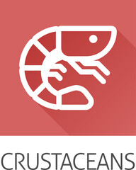 Fototapeta premium Prawn Shrimp Crustacean Food Allergen Allergy Icon