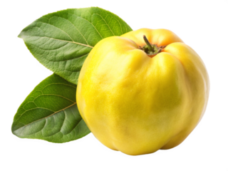 Quince fruit png images. fruits images transparent background