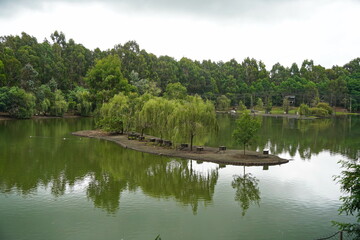 A small pond in the park area