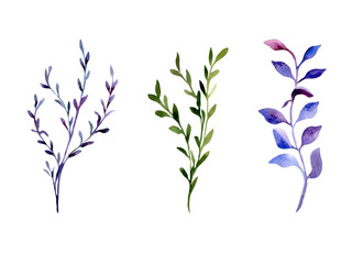 Branches leaves watercolor set plants blue purple and green colors isolated illustration. Abstract colorful twigs and leaf hand drawn. Floral elements set for design card, textile, wrapping.