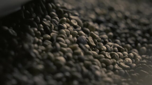 Robusta coffee beans being sieved before being roasted in a factory in Vietnam