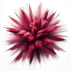 Obraz premium Marsala color powder explosion isolated on white background. Abstract burst of colored dust particles. Design for poster, wallpaper, banner