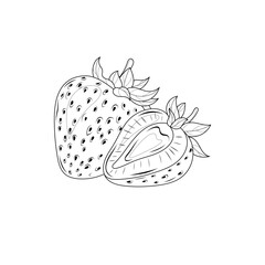Strawberry.Coloring book antistress for children and adults. Illustration isolated on white background.