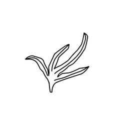 outline of tropical leaf