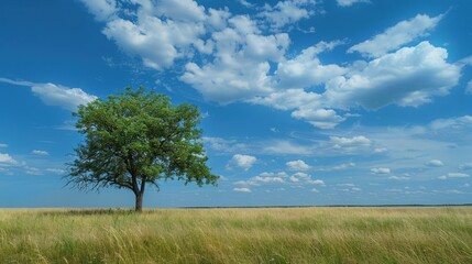 view of the savanna with a shady tree under a clear, cloudy sky.