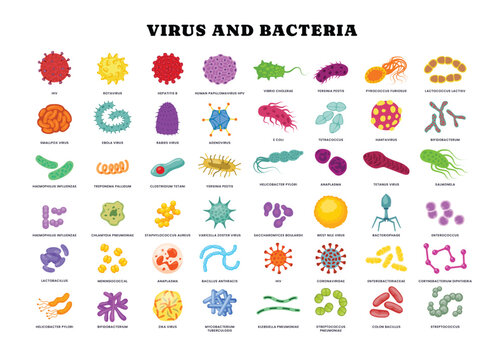 Different types of virus and bacteria set collection poster for healthcare  education, Pathogenic bacteria, viruses and microbes,  Disease-causing, Color germs, bacterium type, microorganism infection