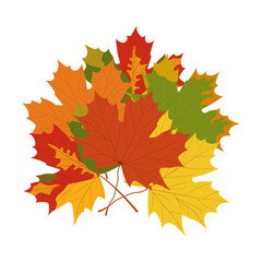 Fototapeta premium Bouquet of autumn leaves. Red, yellow and orange maple leaves. Bouquet isolated on transparent and white background. Close-up element for nature design decoration. Vector flat illustration.