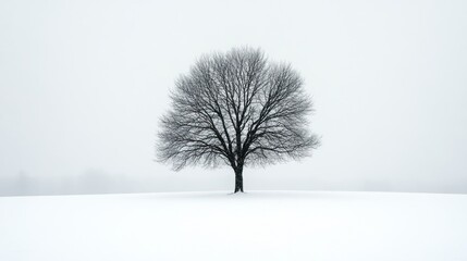 Fototapeta premium Minimalist photograph of a lone tree in a vast snowy landscape