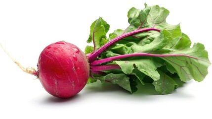 Isolated white background fresh red radish