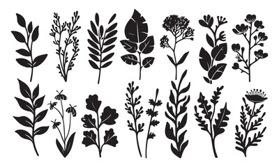 black and white tree line drawing flowers , Side view, set of graphics trees elements outline symbol isolated Vector illustration