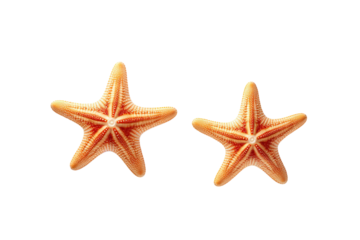 Dance of the Sea Stars on White or PNG Transparent Background.
