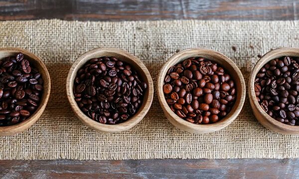 Three Bowls of Roasted Coffee Beans