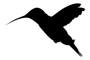 Obraz premium Silhouette of a Bird in Flight for Design Decoration
