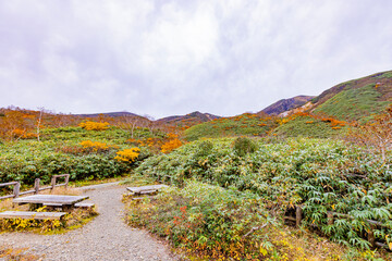 秋田県　秋田駒ヶ岳の紅葉風景
