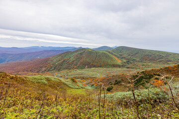 秋田県　秋田駒ヶ岳の紅葉風景

