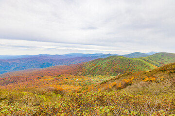秋田県　秋田駒ヶ岳の紅葉風景
