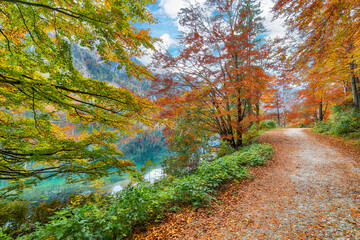 Breathtaking autumn scene of Vorderer Langbathsee lake.