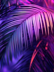 A close-up of a palm leaf on a purple background, ideal for use in designs related to nature and botanicals