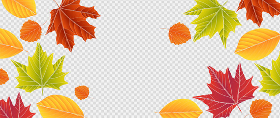 Fototapeta premium Bright autumn foliage background. Vector botanical illustration with maple and other leaves.
