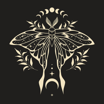 Mystic moth vector illustration. Magic moon, occult, print, poster.