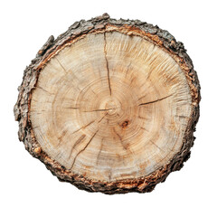 Fototapeta premium Empty Log Slice With Natural Bark Isolated On White Background
