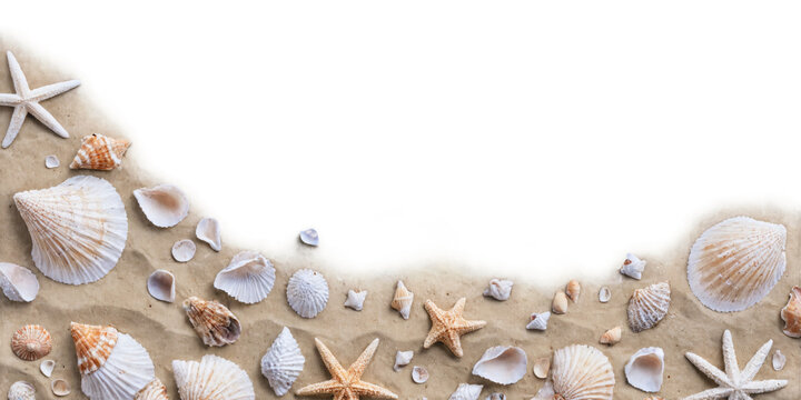 Flat lay various seashells starfish scattered sandy beach  Sand and sea